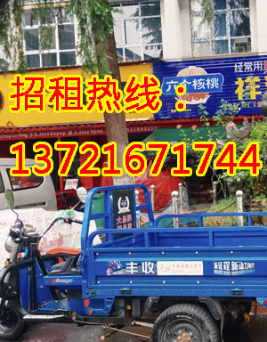 科技一路1